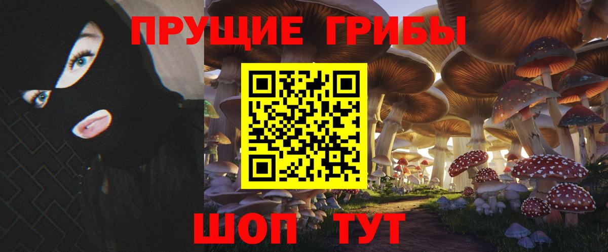 Приморско-Ахтарск  Псилоцибиновые грибы прущие грибы  Вход с VPN  Псилоцибиновые грибы мухоморы 